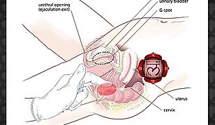 How to have anal sex? – advice from expert and sex coach Jean-Marie Corda