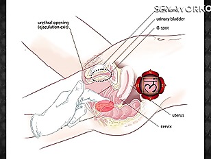 How to have anal sex? – advice from expert and sex coach Jean-Marie Corda